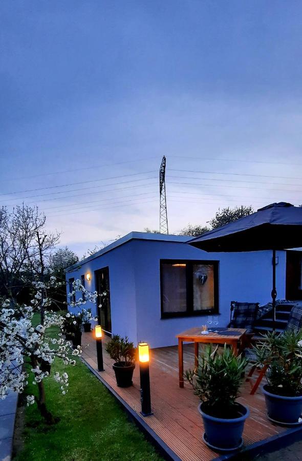 Bergblick Apartment Thale Exterior photo